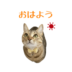 [LINEスタンプ] うめこ姫