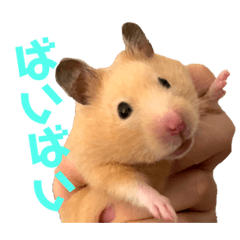 [LINEスタンプ] キンクマのもち様