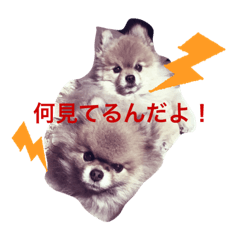[LINEスタンプ] ぽめ日和2