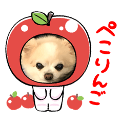[LINEスタンプ] Here is pucchi