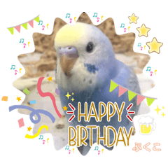 [LINEスタンプ] インコぷくこのきまぐれスタンプ