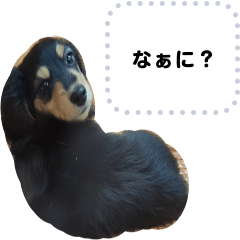 [LINEスタンプ] うどんそばのスタンプ