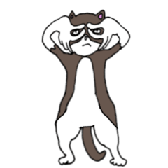 [LINEスタンプ] ゆるいハチワレネコ 文字なし