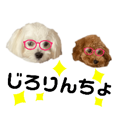 [LINEスタンプ] きっさん＆ふうさん