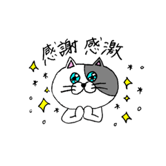 [LINEスタンプ] ねこのごまちゃん