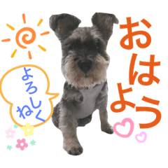 [LINEスタンプ] チャピーちゃんのスタンプ