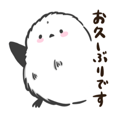 [LINEスタンプ] 【敬語】もふもふシマエナガちゃん