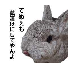 [LINEスタンプ] みほちゃんち。