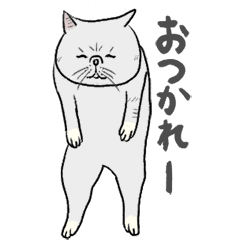 [LINEスタンプ] エキゾチックショートヘアー猫スタンプ