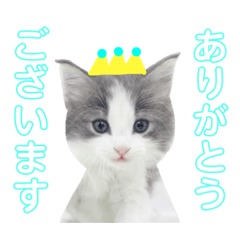 [LINEスタンプ] ろくもねスタンプNORMAL