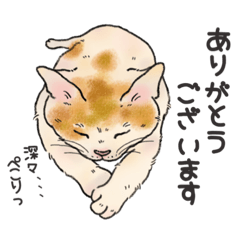 [LINEスタンプ] にゃんぽぽ2