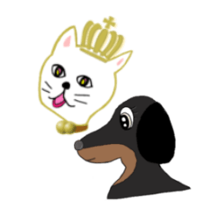 [LINEスタンプ] おしゃべりな可愛いねこたち