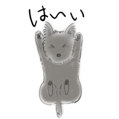 [LINEスタンプ] 愛しのケアーンテリア～mokao～スタンプ2