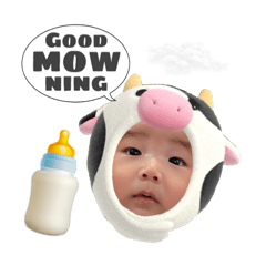 [LINEスタンプ] いおくんスタンプ‪✯‬*。
