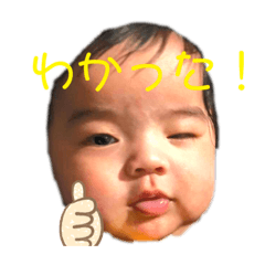 [LINEスタンプ] 金ちゃんスタンプ☆