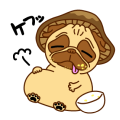 [LINEスタンプ] パグ椎茸Qにゃん 1