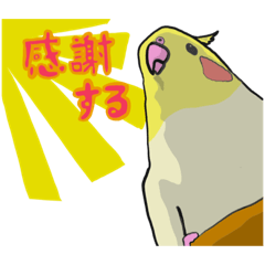 [LINEスタンプ] めちゃ使える！インコの可愛すぎる日常