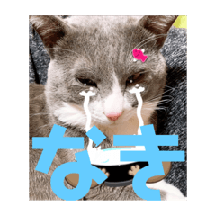 [LINEスタンプ] うめずくし