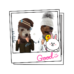 [LINEスタンプ] 犬のワンワンすたんぷ