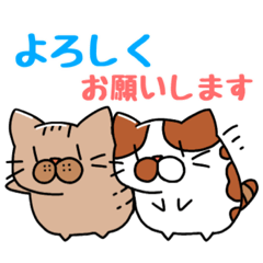 [LINEスタンプ] 元気なココモカ！(BIGスタンプ)