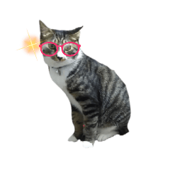 [LINEスタンプ] しましまネコくん 2