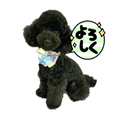 [LINEスタンプ] 黒マルプ★白トイプ☆スタンプ