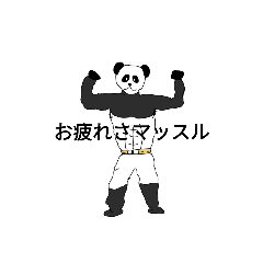 [LINEスタンプ] マッスルパンダ