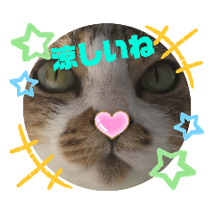 [LINEスタンプ] ナナエモン⑤秋っぽい