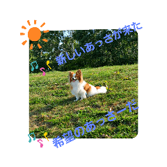 [LINEスタンプ] ぱぴぱぴパピヨン36