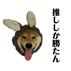 [LINEスタンプ] 健くんです